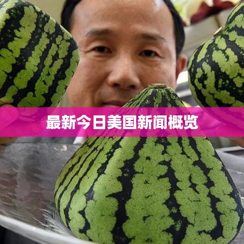 最新今日美國(guó)新聞概覽