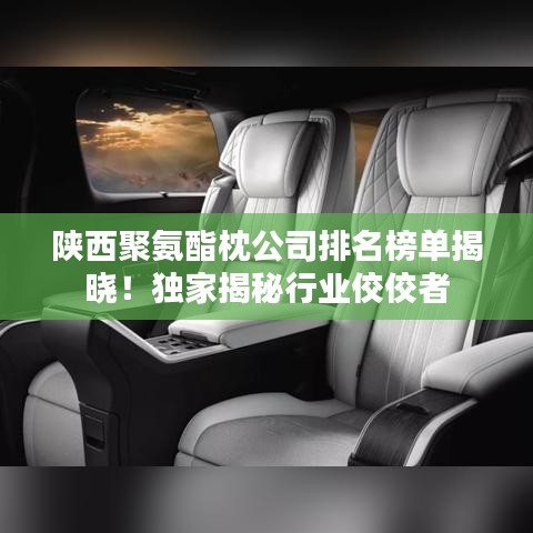 陜西聚氨酯枕公司排名榜單揭曉！獨家揭秘行業(yè)佼佼者