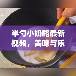 半勺小奶酪最新視頻，美味與樂趣的完美交融，在線觀看火熱進行中！