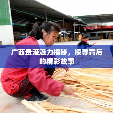 廣西貴港魅力揭秘，探尋背后的精彩故事