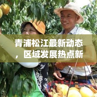 青浦松江最新動(dòng)態(tài)，區(qū)域發(fā)展熱點(diǎn)新聞?lì)^條