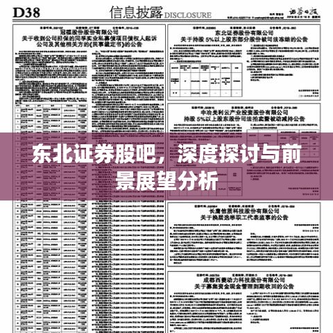 東北證券股吧，深度探討與前景展望分析