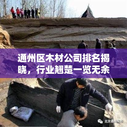 通州區(qū)木材公司排名揭曉，行業(yè)翹楚一覽無(wú)余！