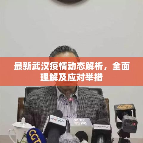 最新武漢疫情動(dòng)態(tài)解析，全面理解及應(yīng)對(duì)舉措