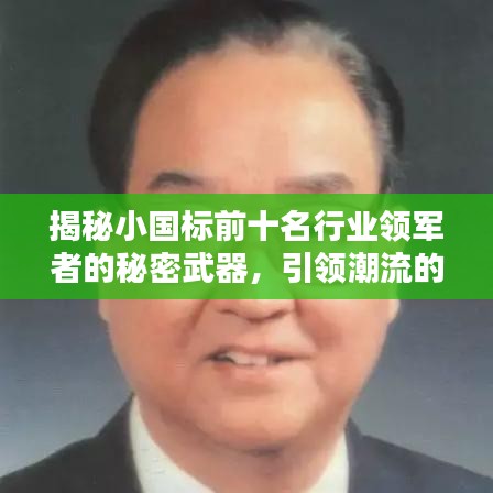 揭秘小國標前十名行業(yè)領(lǐng)軍者的秘密武器，引領(lǐng)潮流的制勝之道