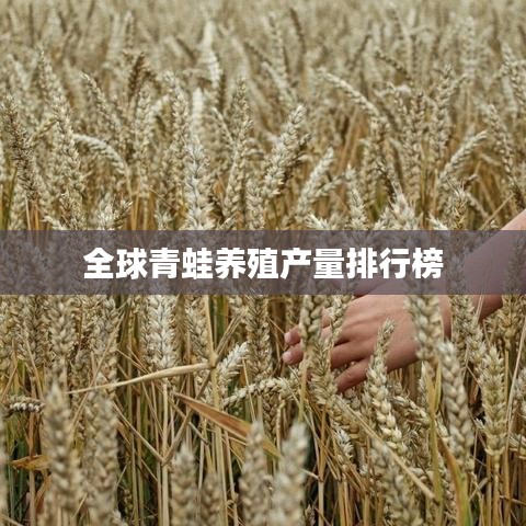 全球青蛙養(yǎng)殖產(chǎn)量排行榜