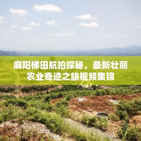 駢首就僇 第5頁