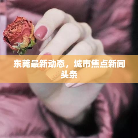 東莞最新動(dòng)態(tài)，城市焦點(diǎn)新聞?lì)^條