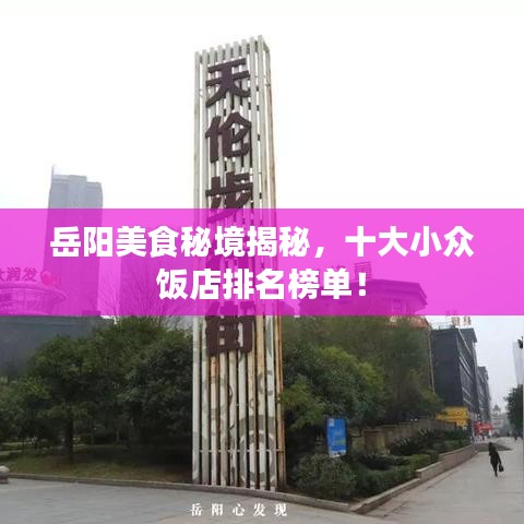 岳陽美食秘境揭秘，十大小眾飯店排名榜單！