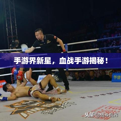 手游界新星，血戰(zhàn)手游揭秘！
