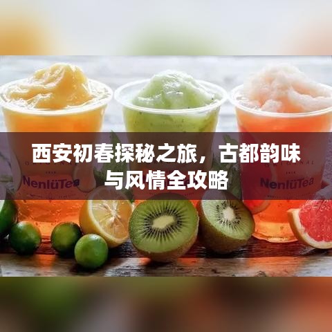 西安初春探秘之旅，古都韻味與風(fēng)情全攻略