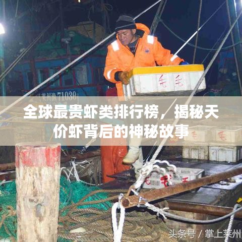 全球最貴蝦類排行榜，揭秘天價蝦背后的神秘故事