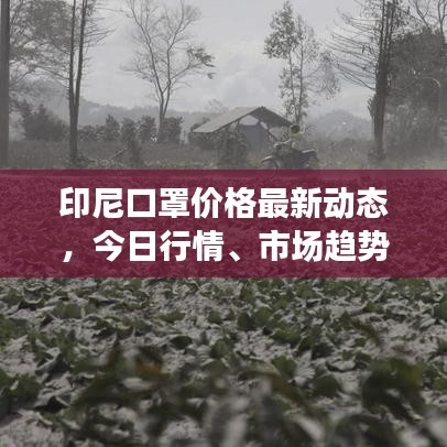 印尼口罩價格最新動態(tài)，今日行情、市場趨勢及影響因素深度解析