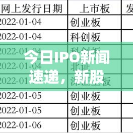 今日IPO新聞速遞，新股上市動態(tài)與市場反應深度解析