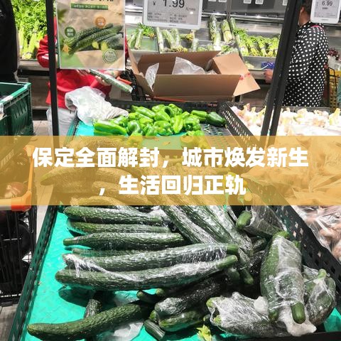 保定全面解封，城市煥發(fā)新生，生活回歸正軌