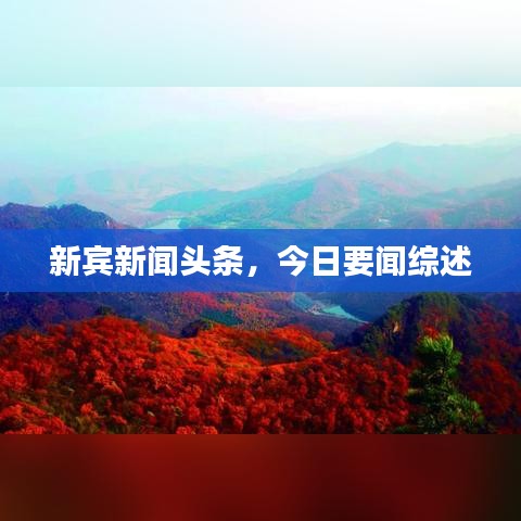 新賓新聞?lì)^條，今日要聞綜述