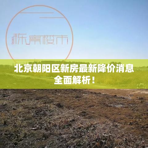 北京朝陽區(qū)新房最新降價(jià)消息全面解析！