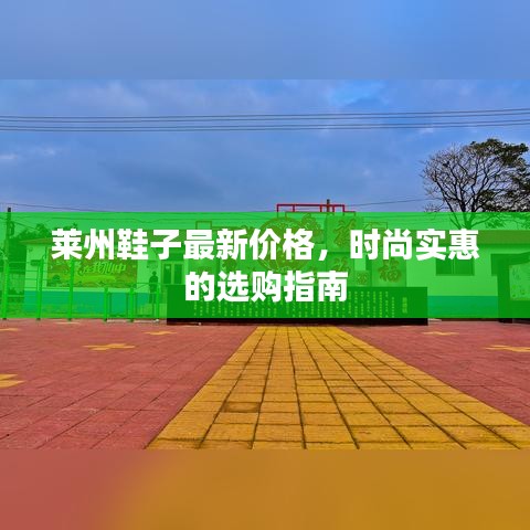 萊州鞋子最新價格，時尚實惠的選購指南