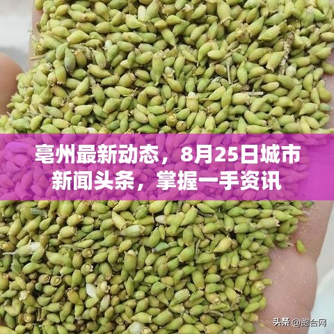 亳州最新動(dòng)態(tài)，8月25日城市新聞?lì)^條，掌握一手資訊