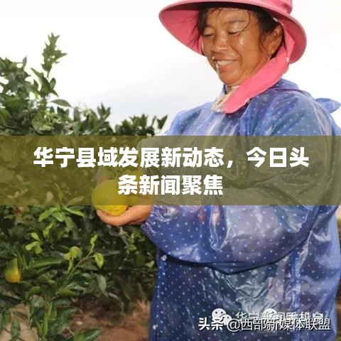 華寧縣域發(fā)展新動(dòng)態(tài)，今日頭條新聞聚焦
