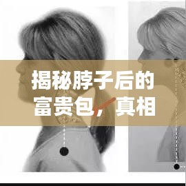 慘淡經(jīng)營 第4頁