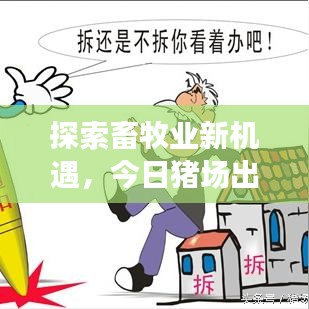 探索畜牧業(yè)新機(jī)遇，今日豬場出租信息最新發(fā)布