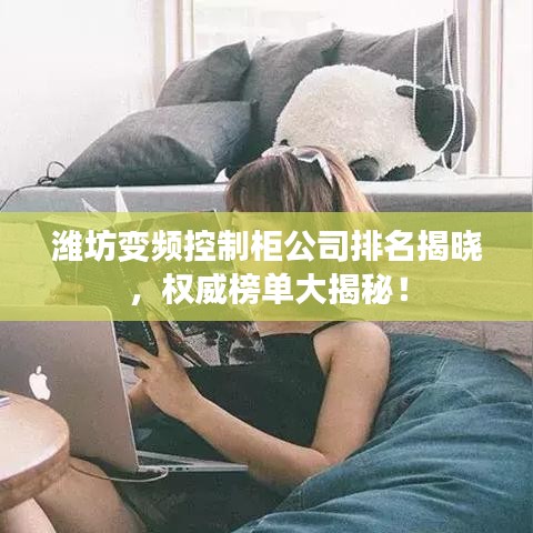 濰坊變頻控制柜公司排名揭曉，權威榜單大揭秘！