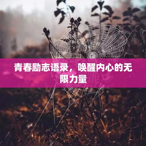 青春勵(lì)志語錄，喚醒內(nèi)心的無限力量