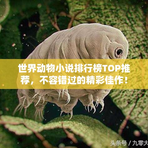 世界動物小說排行榜TOP推薦，不容錯過的精彩佳作！