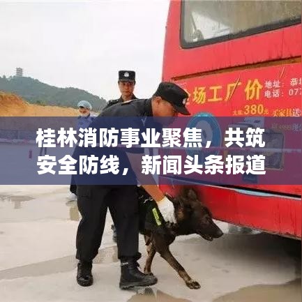 桂林消防事業(yè)聚焦，共筑安全防線，新聞?lì)^條報(bào)道