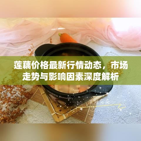 蓮藕價格最新行情動態(tài)，市場走勢與影響因素深度解析