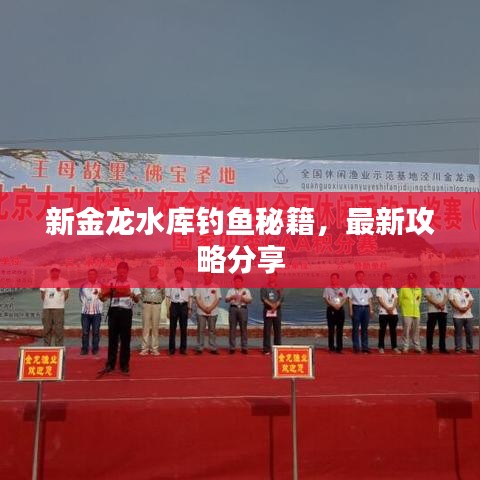 新金龍水庫釣魚秘籍，最新攻略分享