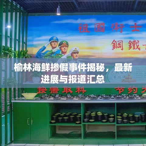 榆林海鮮摻假事件揭秘，最新進(jìn)展與報道匯總