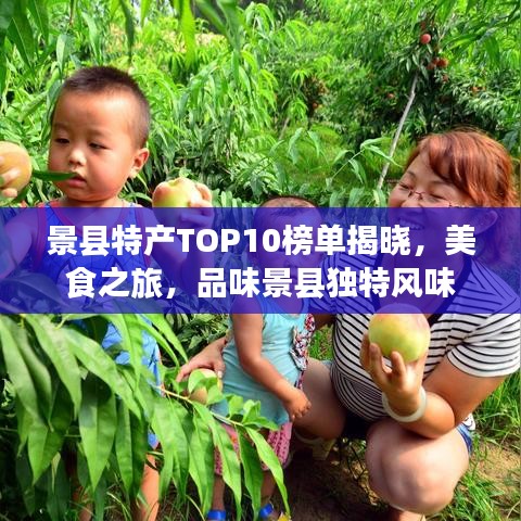 景縣特產(chǎn)TOP10榜單揭曉，美食之旅，品味景縣獨特風味