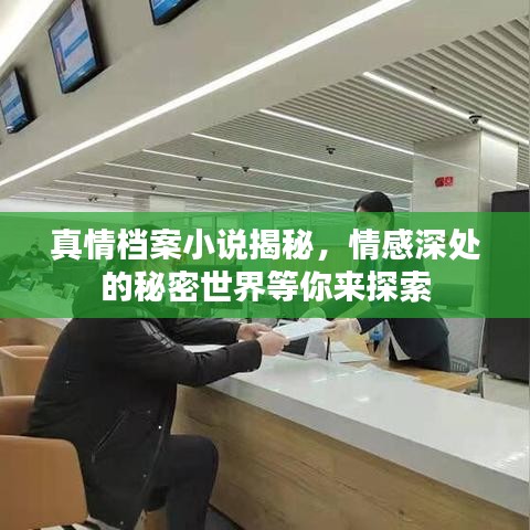 真情檔案小說揭秘，情感深處的秘密世界等你來探索