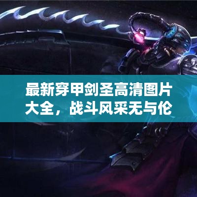 最新穿甲劍圣高清圖片大全，戰(zhàn)斗風(fēng)采無與倫比，百度權(quán)威收錄