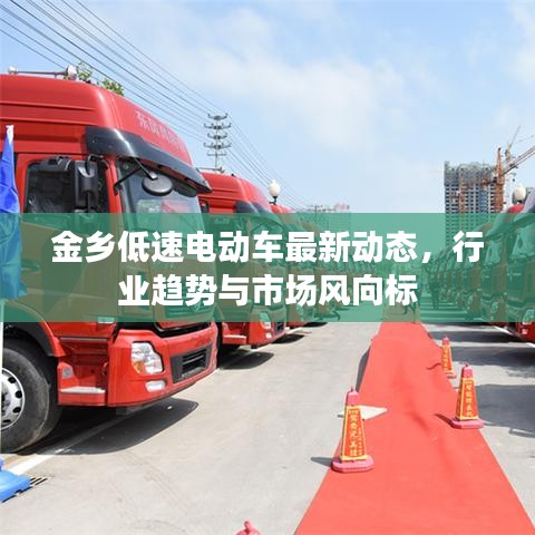 金鄉(xiāng)低速電動車最新動態(tài)，行業(yè)趨勢與市場風向標