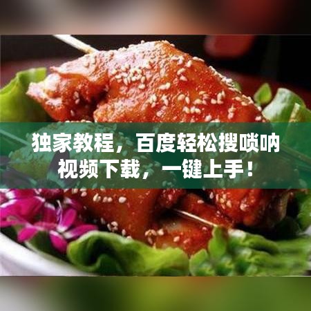 獨(dú)家教程，百度輕松搜嗩吶視頻下載，一鍵上手！