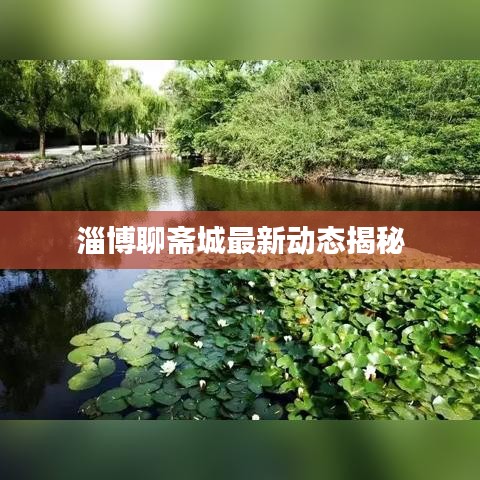 淄博聊齋城最新動態(tài)揭秘
