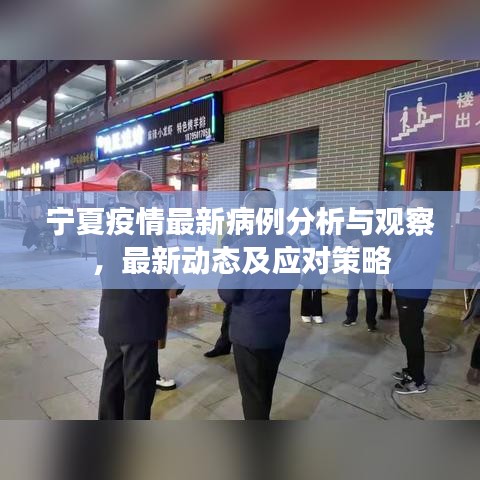寧夏疫情最新病例分析與觀察，最新動態(tài)及應(yīng)對策略
