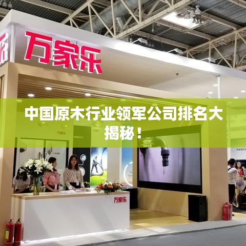 中國原木行業(yè)領(lǐng)軍公司排名大揭秘！
