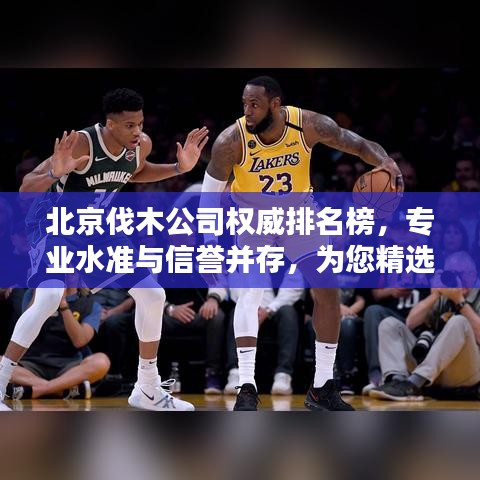北京伐木公司權威排名榜，專業(yè)水準與信譽并存，為您精選優(yōu)質企業(yè)！