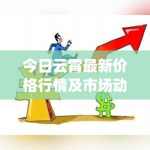 今日云霄最新價(jià)格行情及市場動(dòng)態(tài)全面解讀