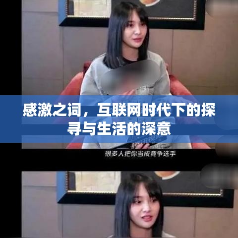感激之詞，互聯(lián)網(wǎng)時代下的探尋與生活的深意