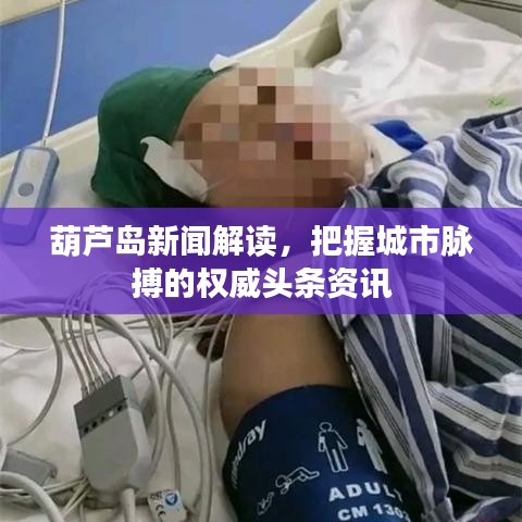 葫蘆島新聞解讀，把握城市脈搏的權(quán)威頭條資訊
