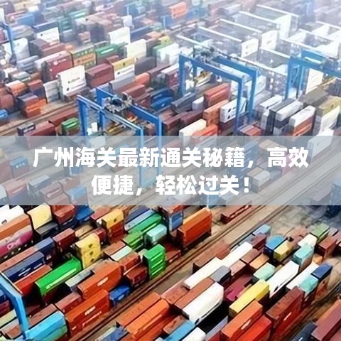 廣州海關(guān)最新通關(guān)秘籍，高效便捷，輕松過關(guān)！