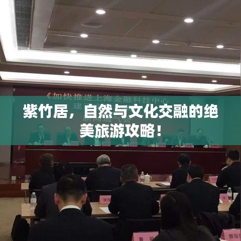紫竹居，自然與文化交融的絕美旅游攻略！