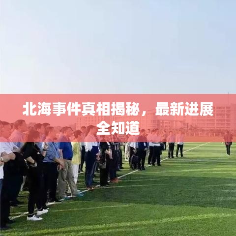 北海事件真相揭秘，最新進(jìn)展全知道