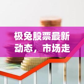 極兔股票最新動(dòng)態(tài)，市場(chǎng)走勢(shì)深度解析與前景展望