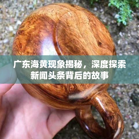 廣東海黃現(xiàn)象揭秘，深度探索新聞?lì)^條背后的故事